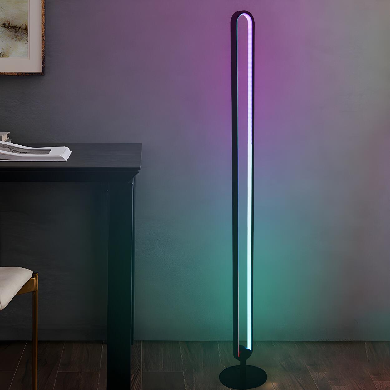 Black Oval Modern Color-Changing LED Floor Lamp