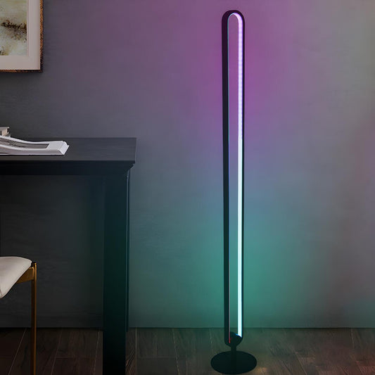 Black Oval Modern Color-Changing LED Floor Lamp