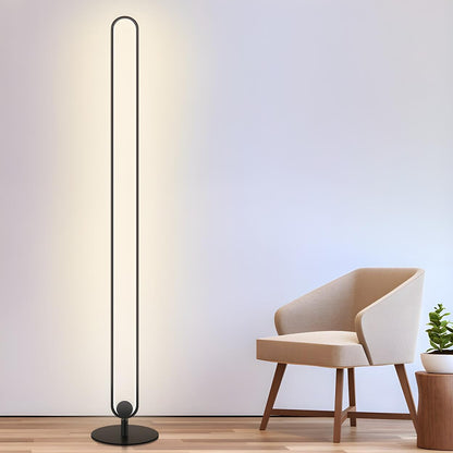 Black Oval Modern Color-Changing LED Floor Lamp