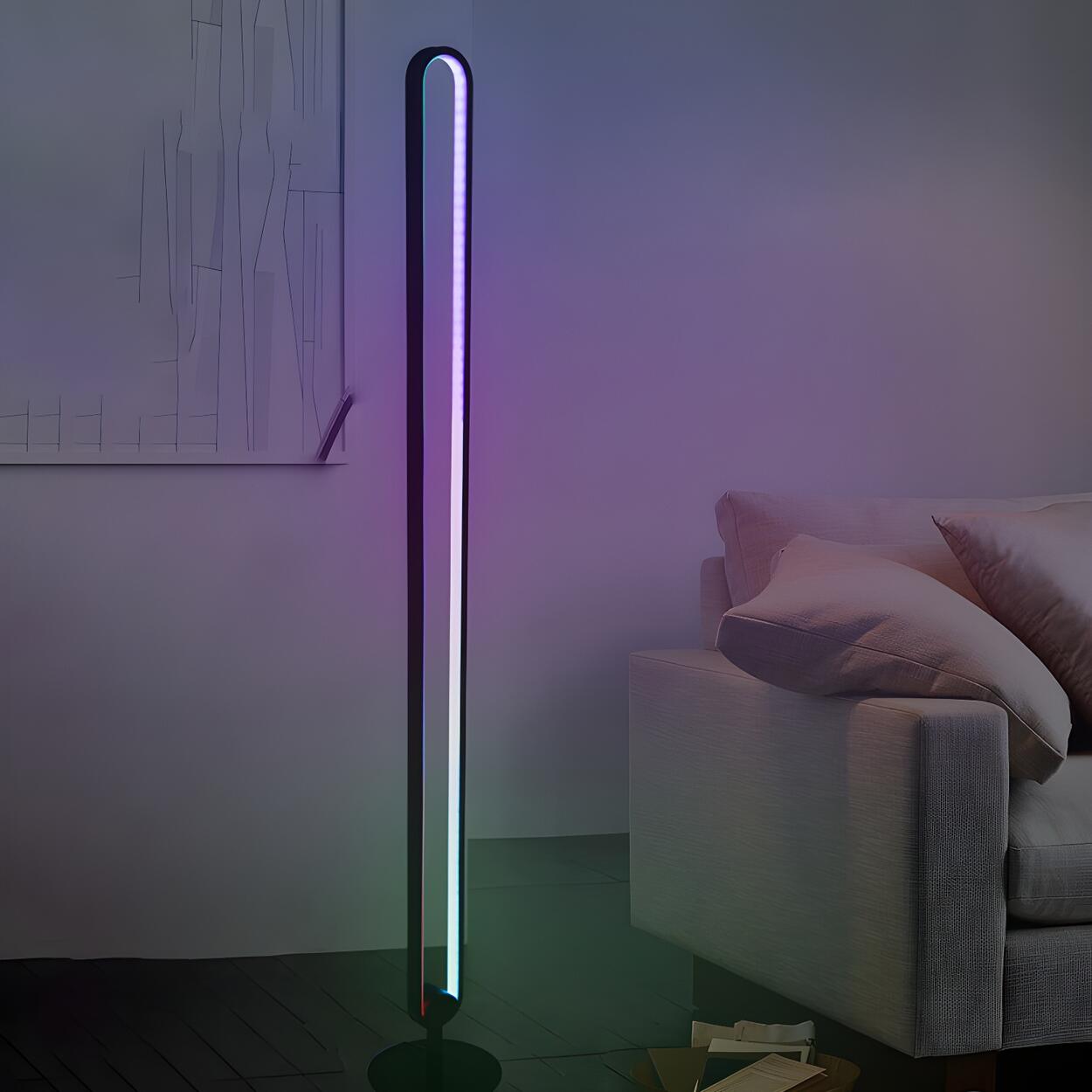 Black Oval Modern Color-Changing LED Floor Lamp