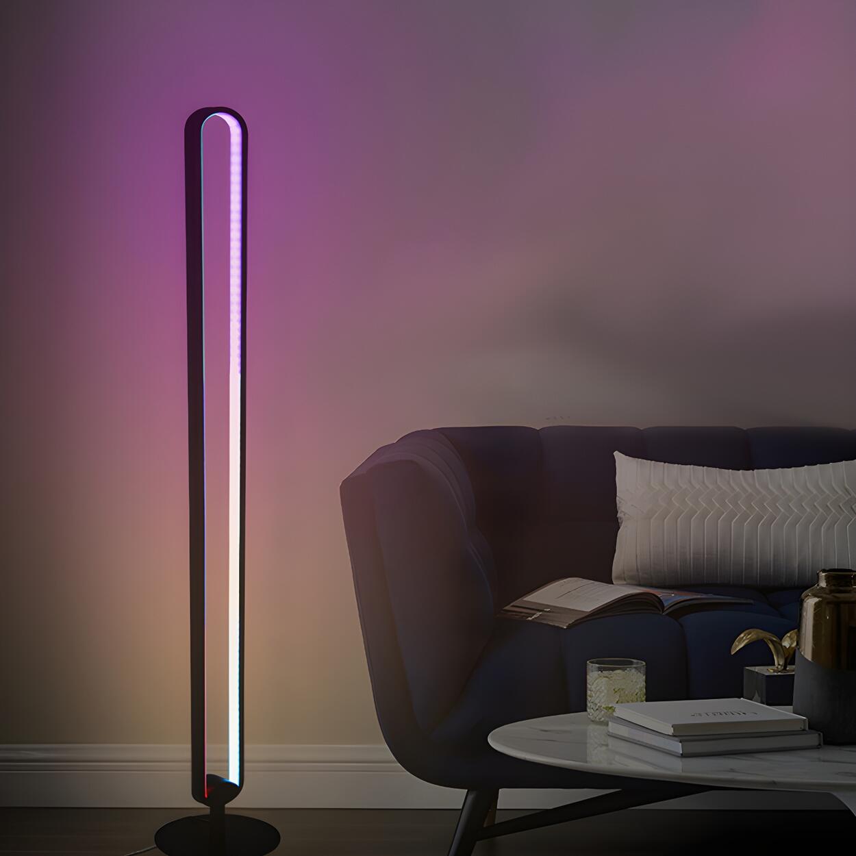 Black Oval Modern Color-Changing LED Floor Lamp