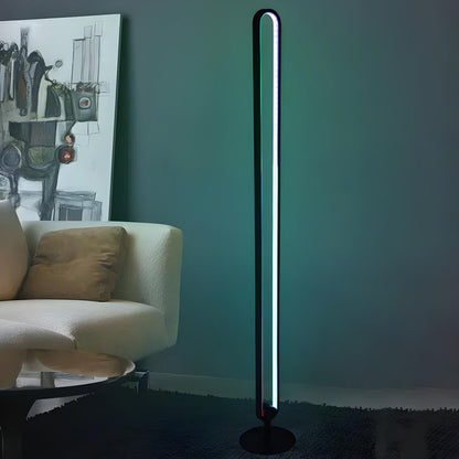 Black Oval Modern Color-Changing LED Floor Lamp