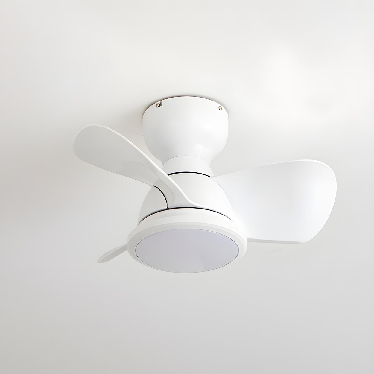 Simple Mini Flush Modern 3 Blade Ceiling Fan with Light