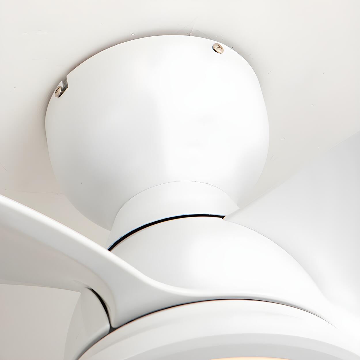 Simple Mini Flush Modern 3 Blade Ceiling Fan with Light