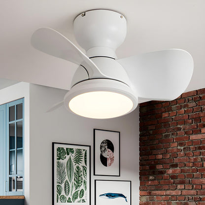 Simple Mini Flush Modern 3 Blade Ceiling Fan with Light